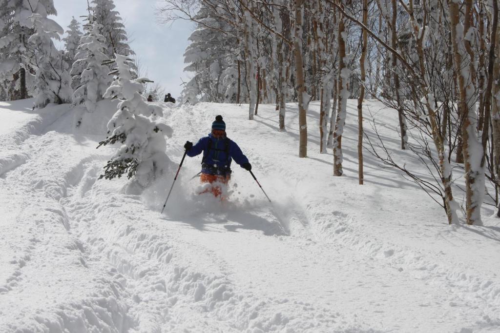 Aspen Shiga Hotel Yamanouchi  Eksteriør billede