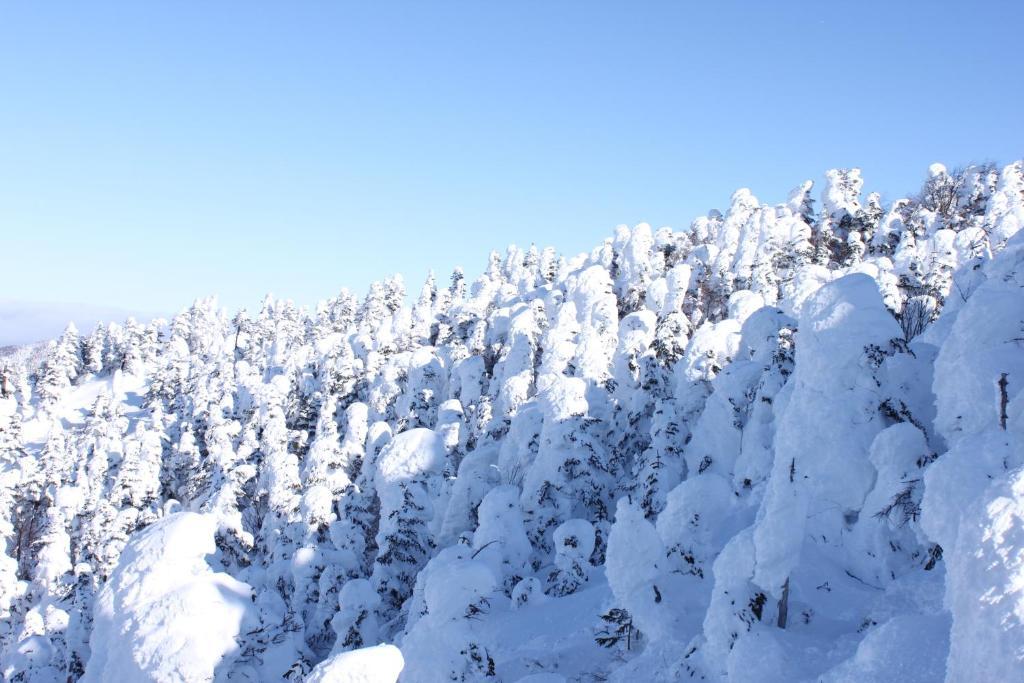 Aspen Shiga Hotel Yamanouchi  Eksteriør billede