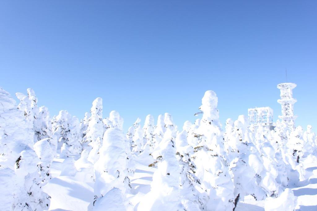 Aspen Shiga Hotel Yamanouchi  Eksteriør billede