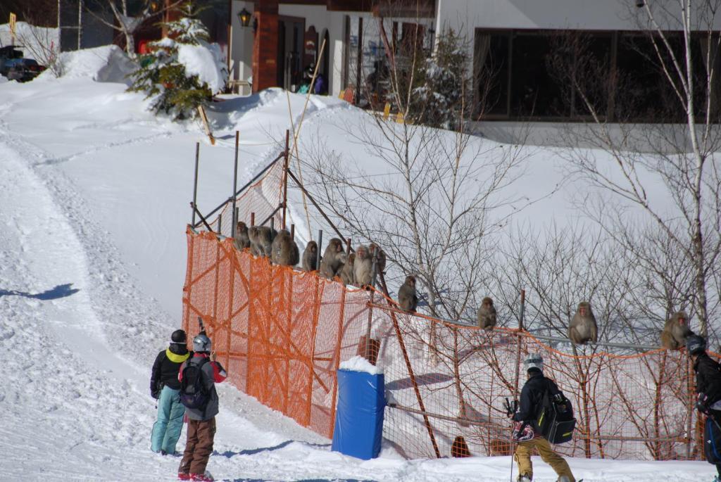 Aspen Shiga Hotel Yamanouchi  Eksteriør billede